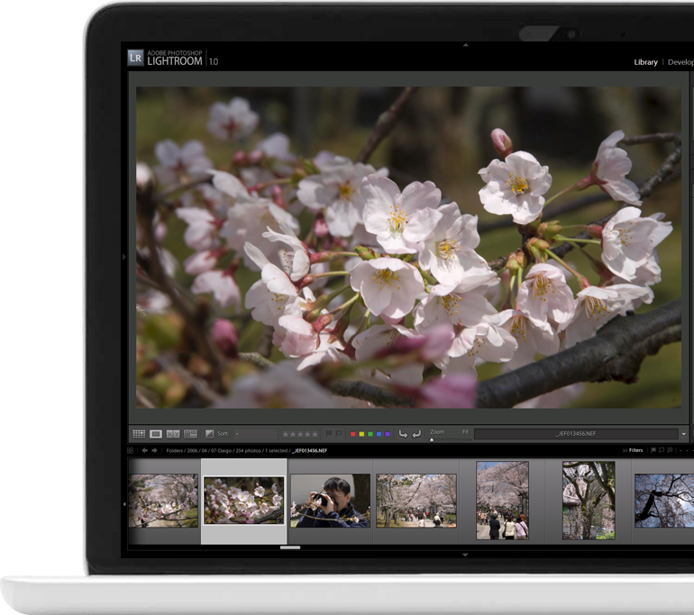 macbook with open Lightroom catalog on screen